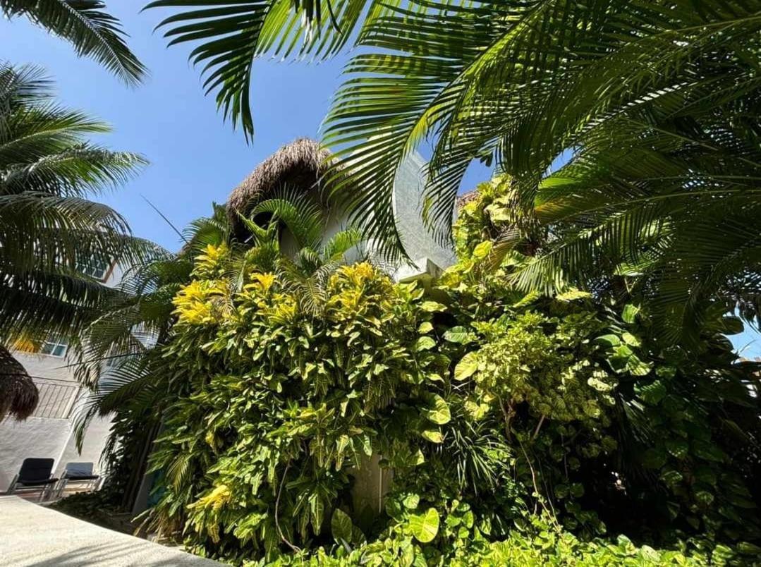 Casa Nona Rosa Cancún Exterior foto
